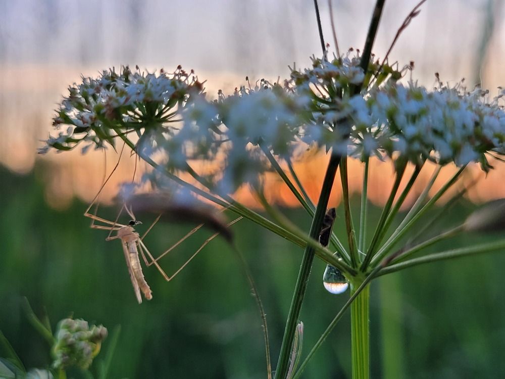 Photograph by Екатерина