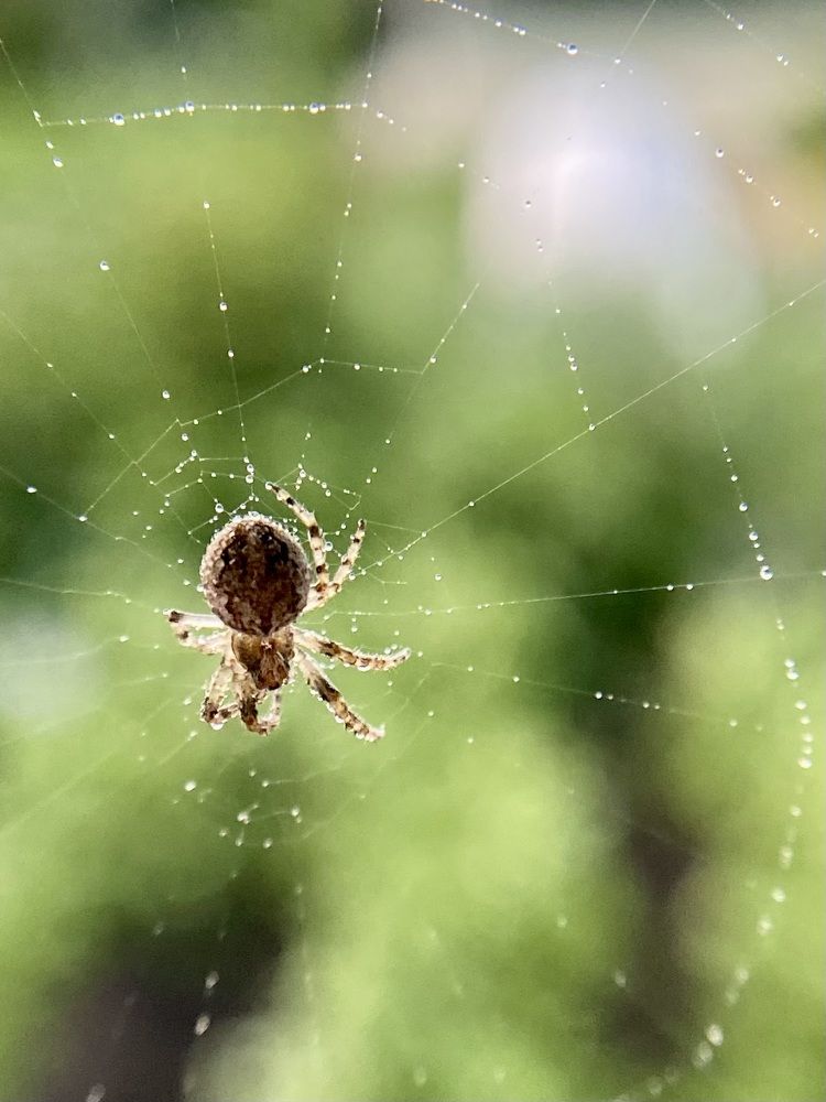 Photograph by Юлия Зель-Жилинская