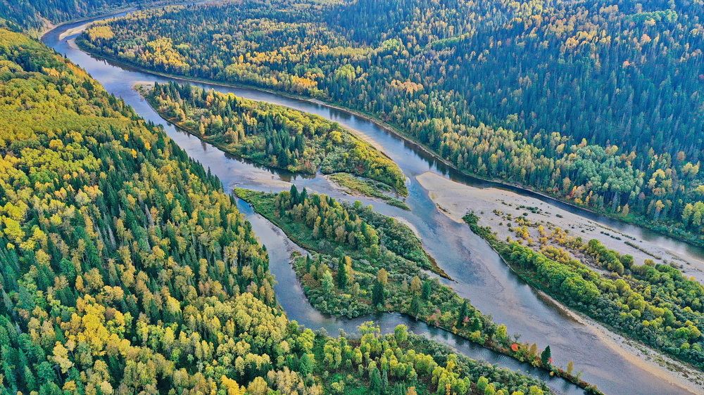 Фотография автора Сергей Тимофеев
