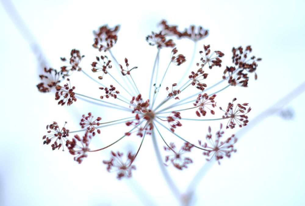 Photograph by Юрий Варюхин