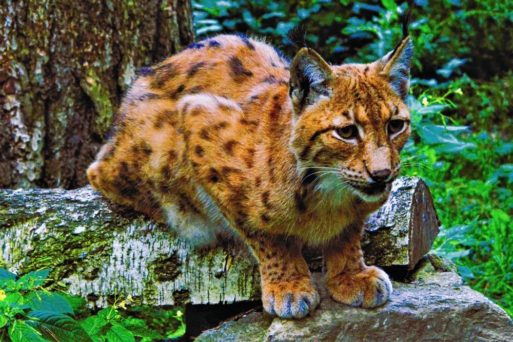 Photograph by Jozef Potocký