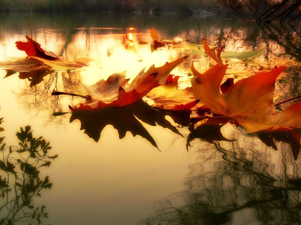 Photograph by 