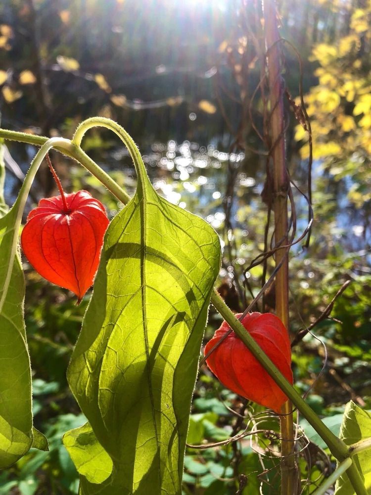 Photograph by Белехова Светлана