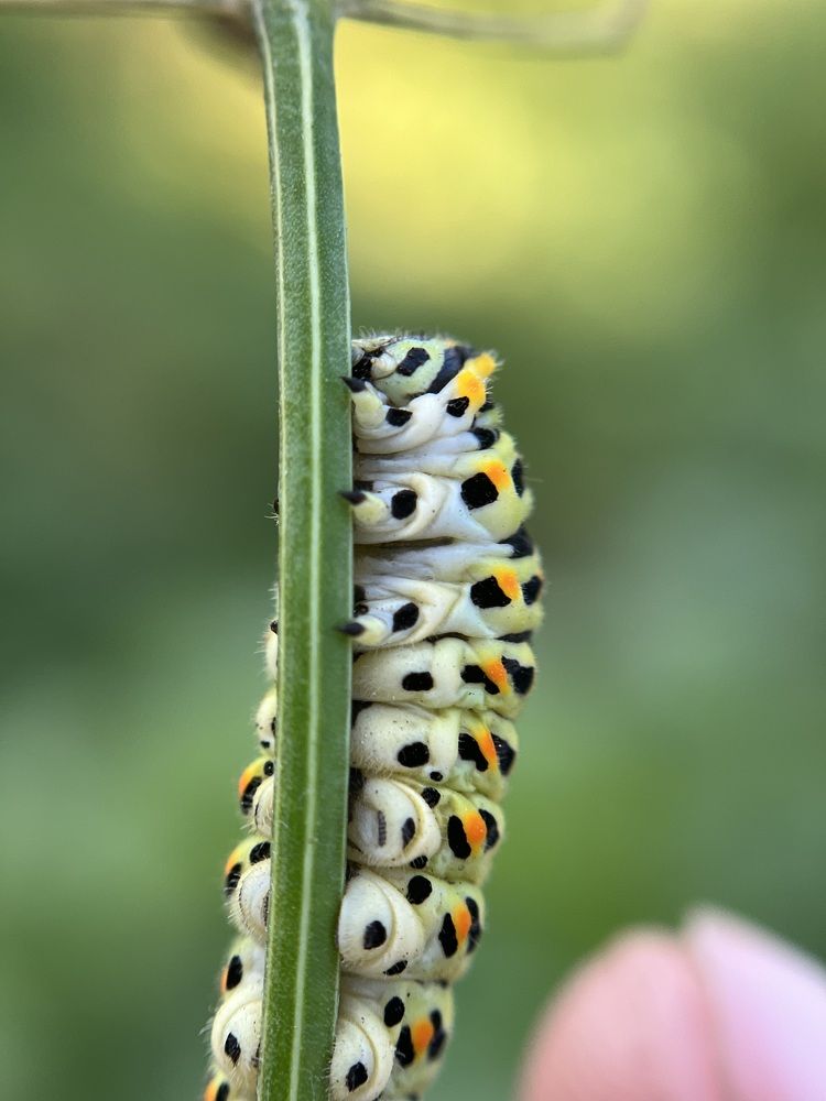 Photograph by Юлия Жилинская