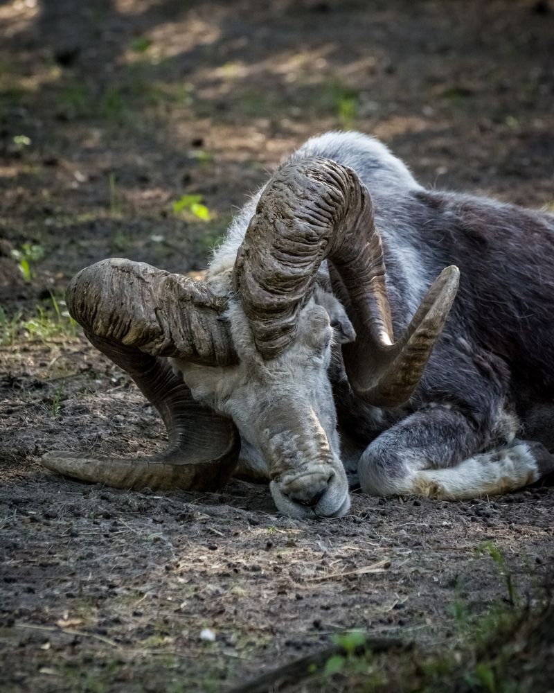 Photograph by Николай Головко
