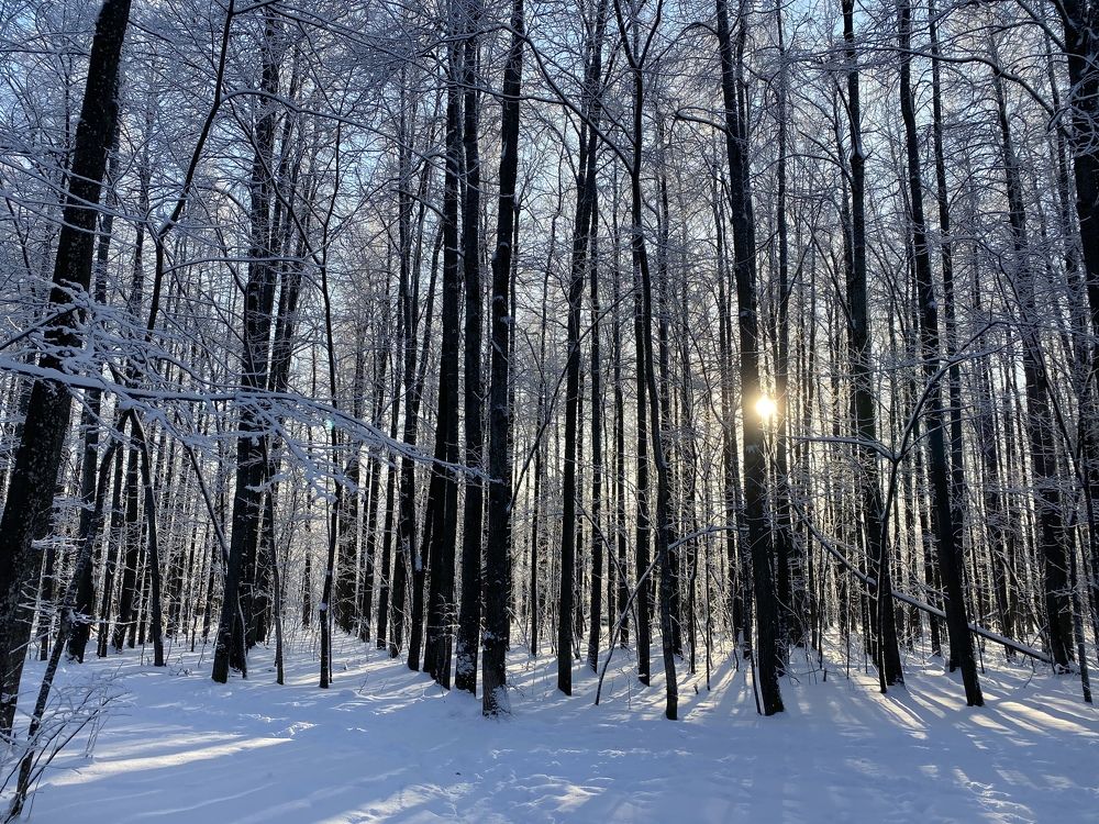 Фотография автора Анна Могилева