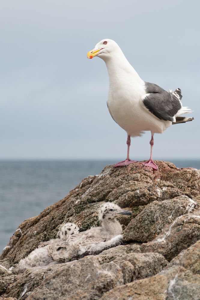 Photograph by Гусаров Андрей
