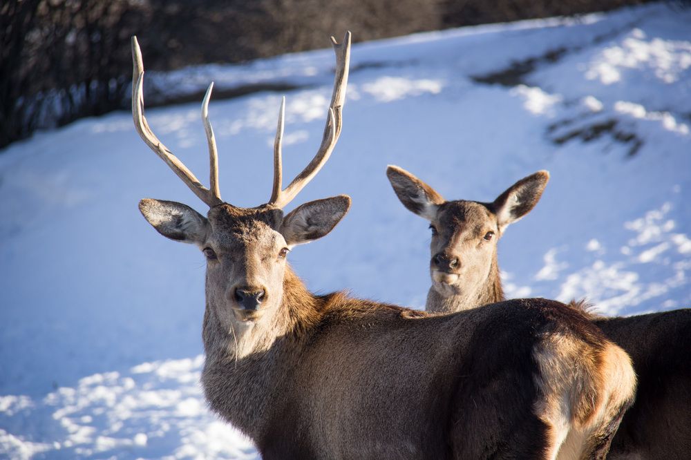 Photograph by Mousa Taghavi Namin