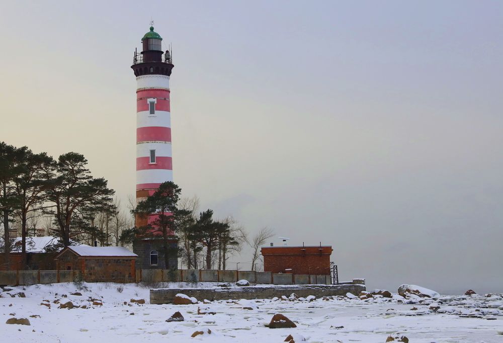 Photograph by елена