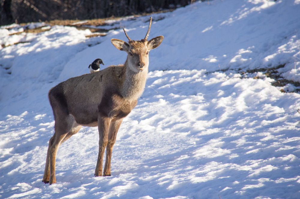 Photograph by Mousa Taghavi Namin