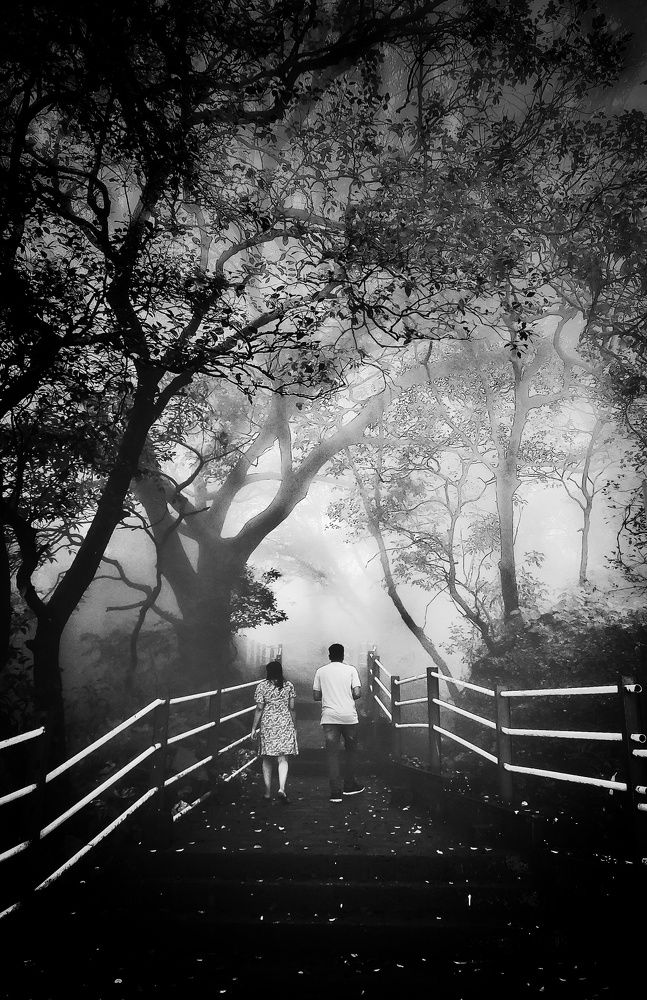 Photograph by Shubham Vinod Singh