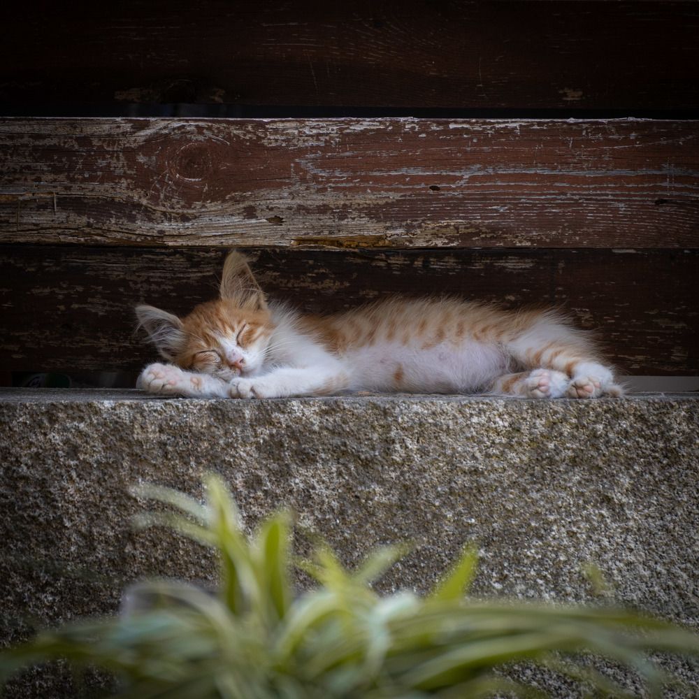 Photograph by Antonis Papaconstantinou