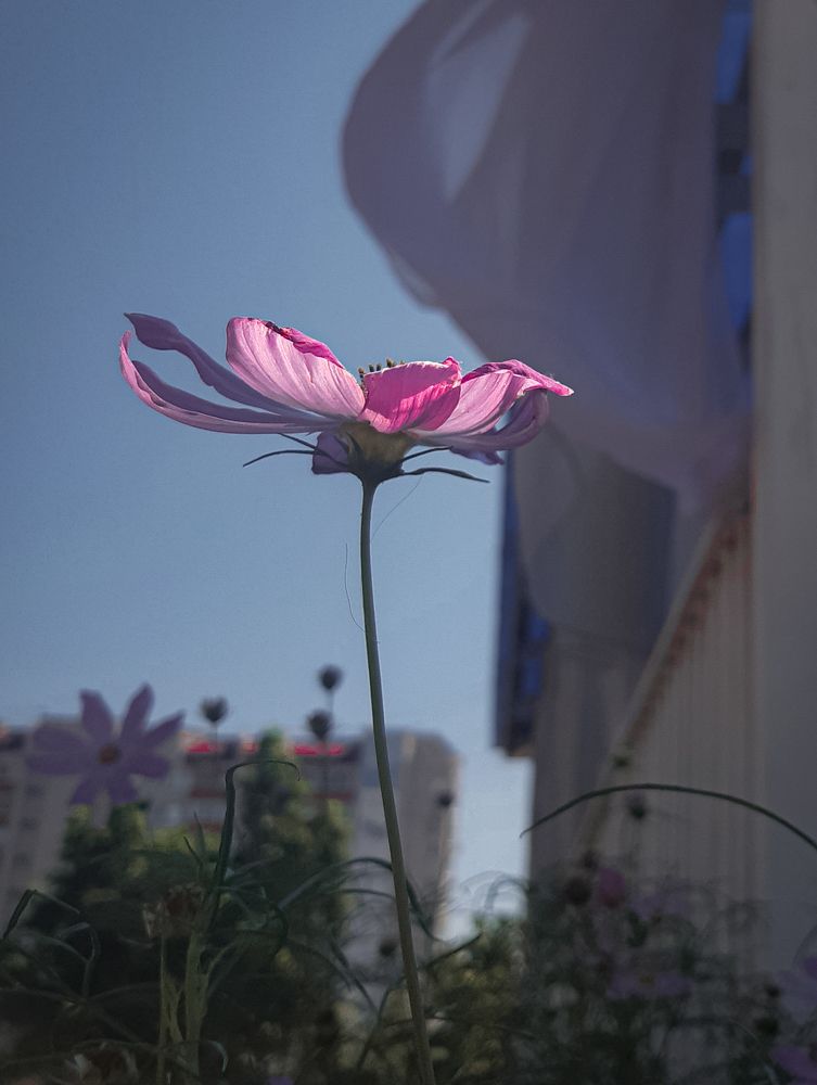 Photograph by Людмила