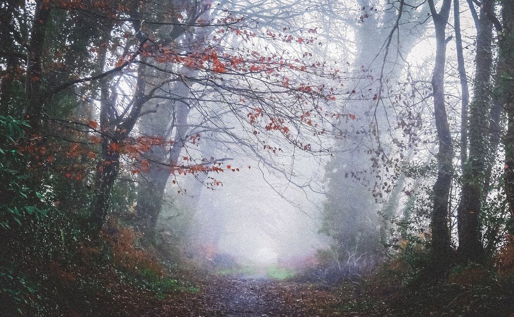 Photograph by Nathalie Le Corff