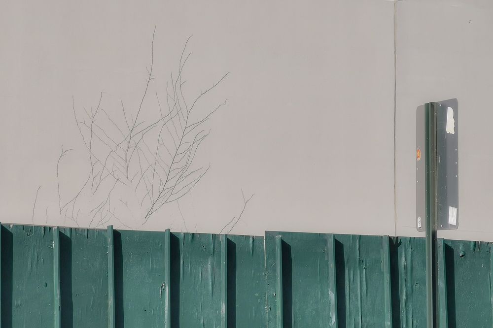 Photograph by Jereissati Demetrio