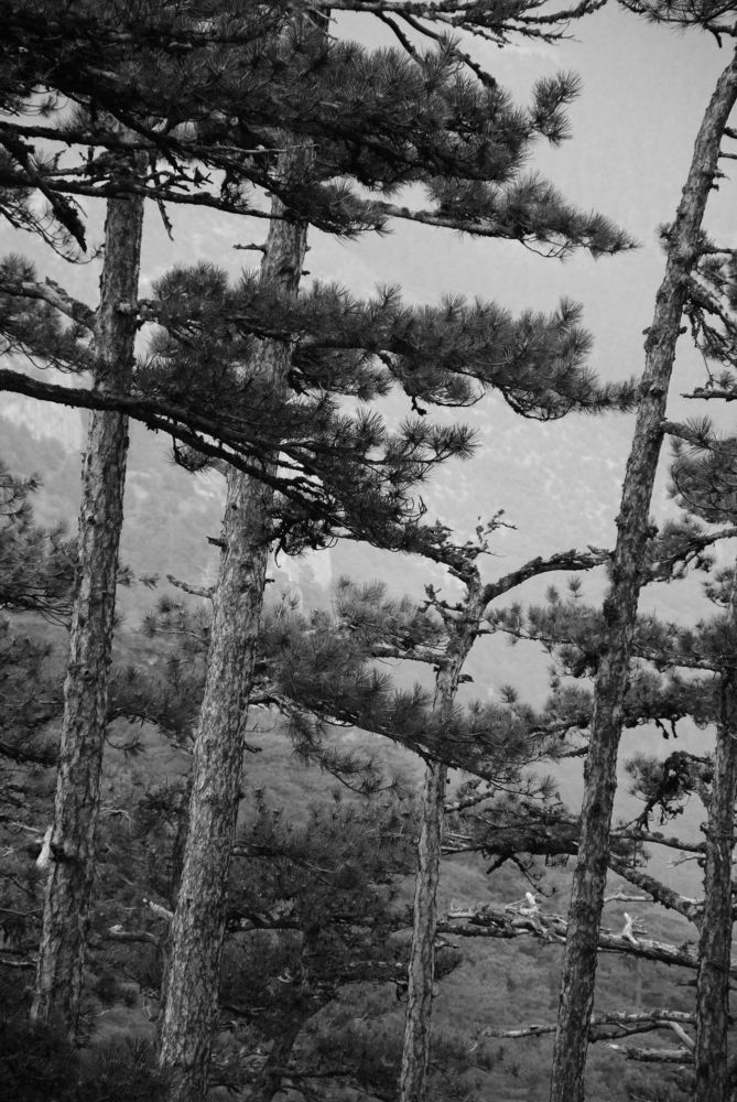 Photograph by Ольга Козлова