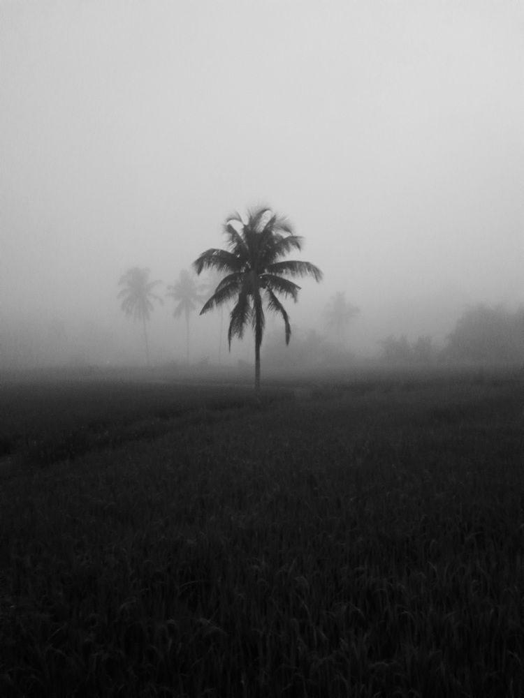 Sepi di tengah subuh