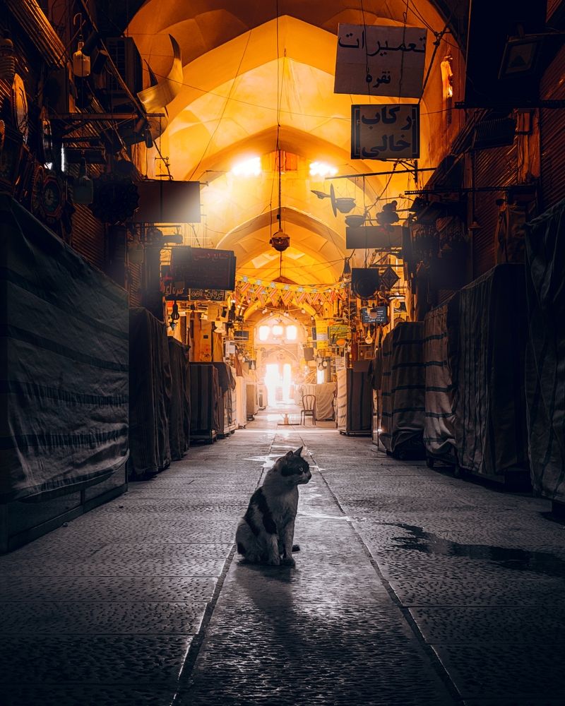 Фотография автора elyas khaghani elyas.ph