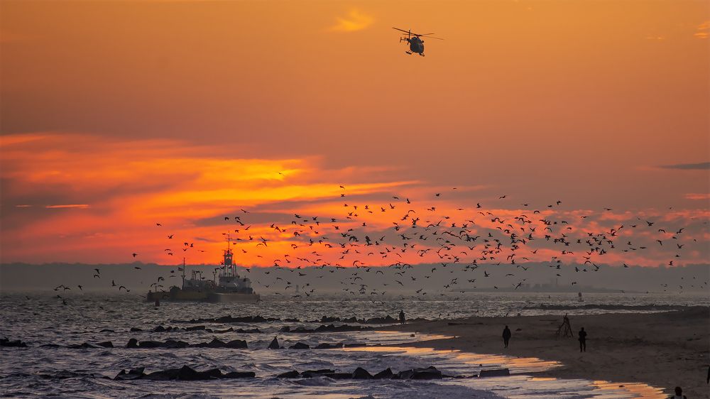 залив Лоуэра