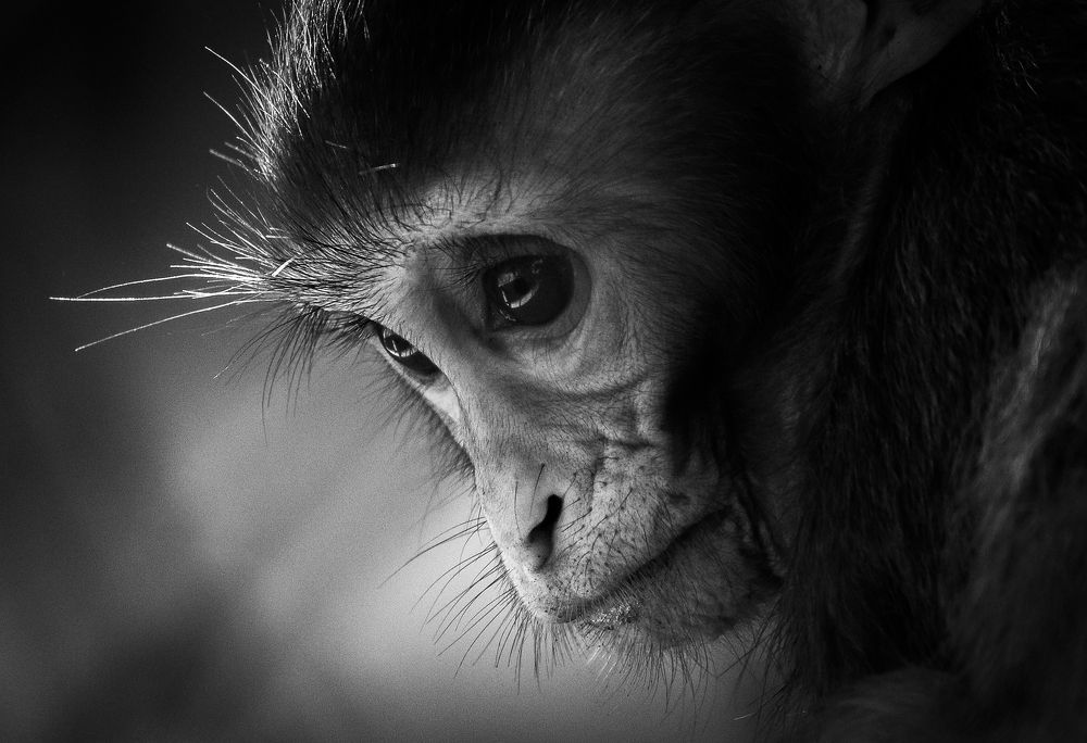 Photograph by Shubham Vinod Singh