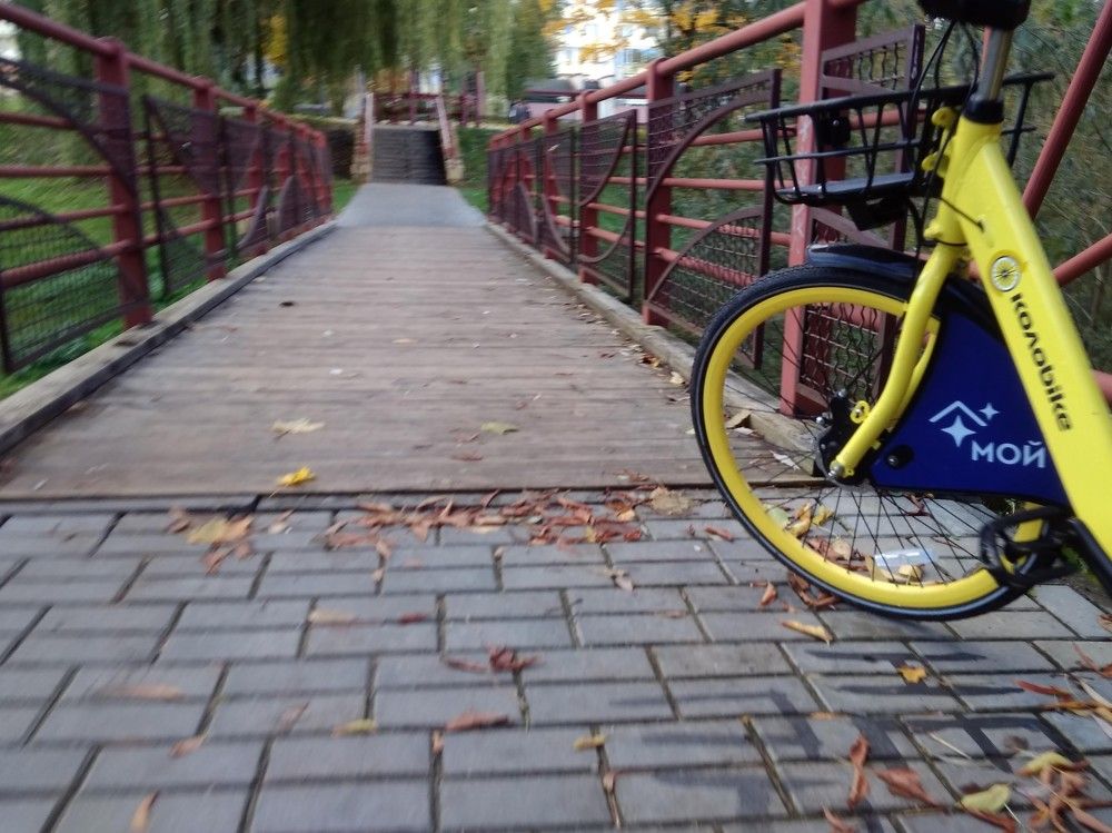 Photograph by Aliaksei Sauko