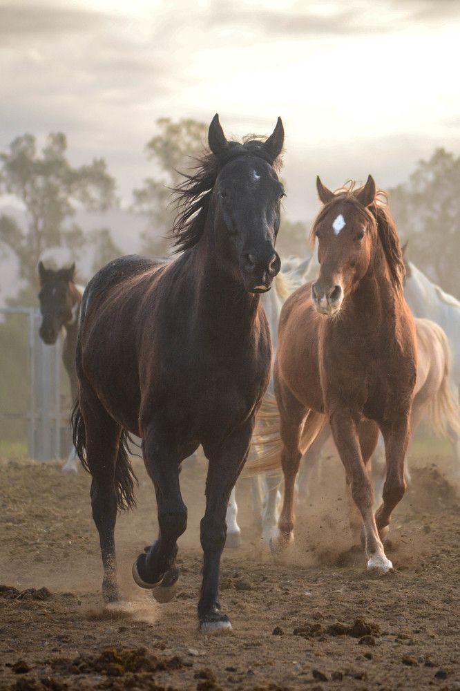 Photograph by esti lahat