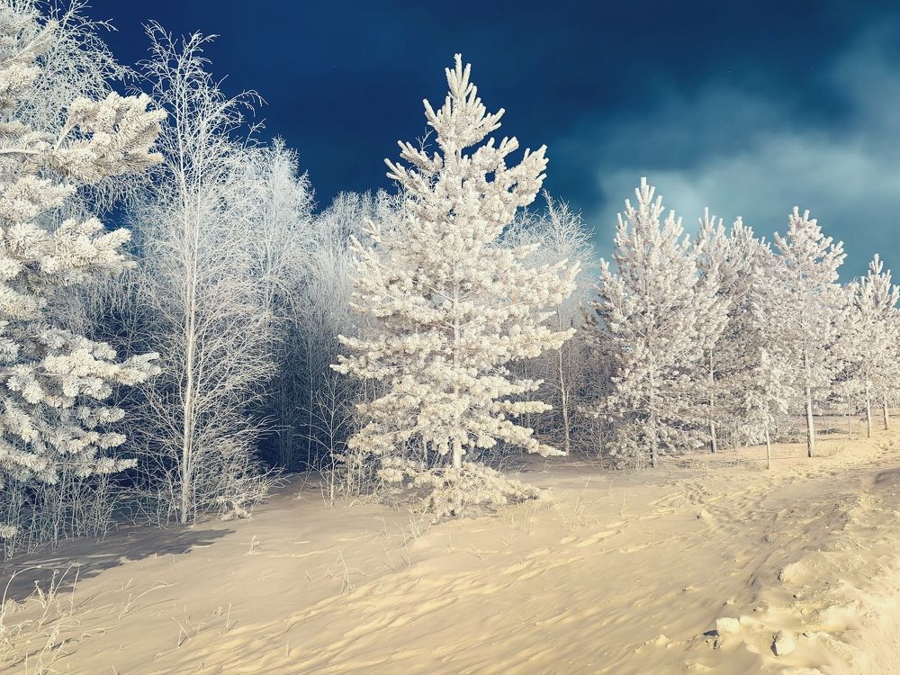 Photograph by Миля Сухарева