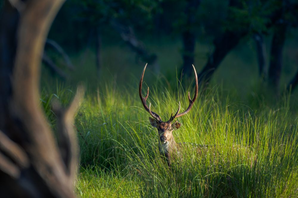 Photograph by Shashwat Shaurya