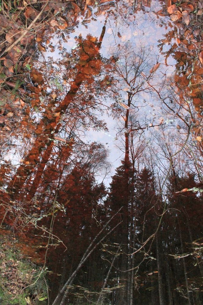 Photograph by Olga Bagaeva