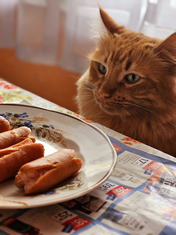 Photograph by Natalija Bucinska