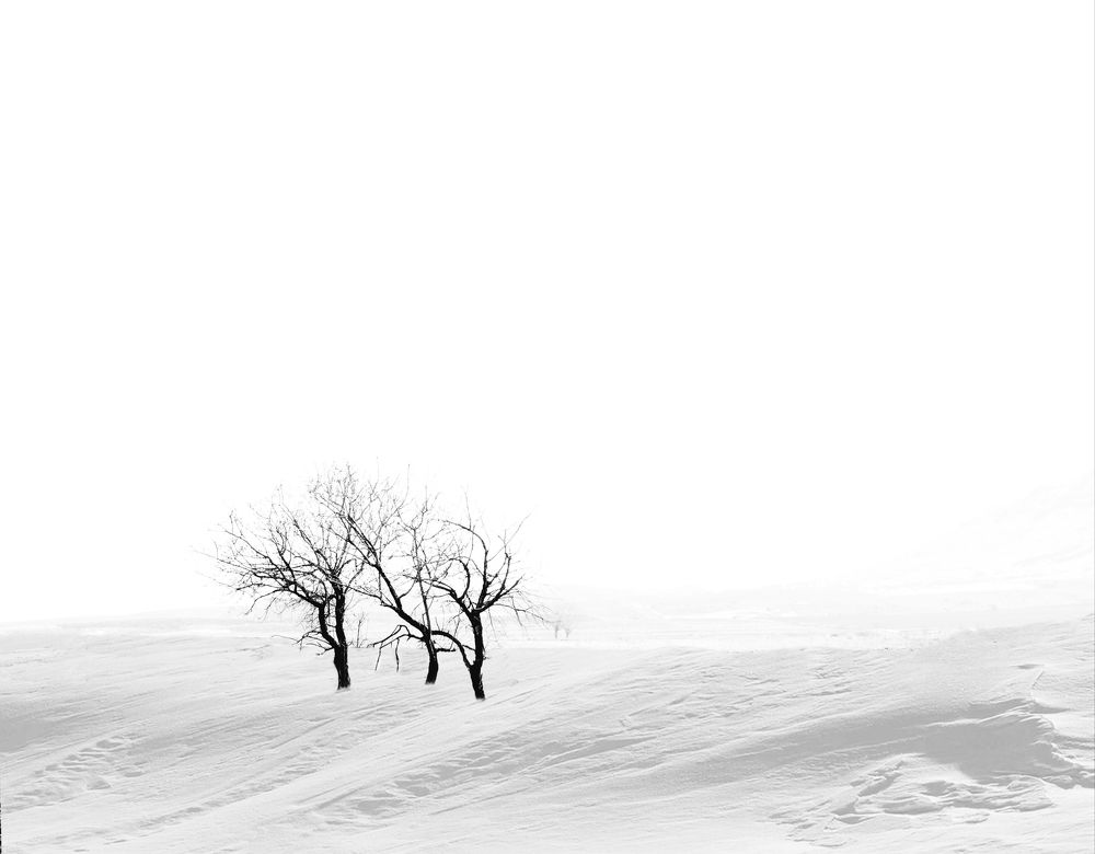 Photograph by Ava Nasiri