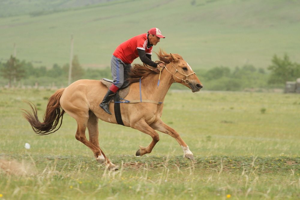 Photograph by Aleksey Maevskiy