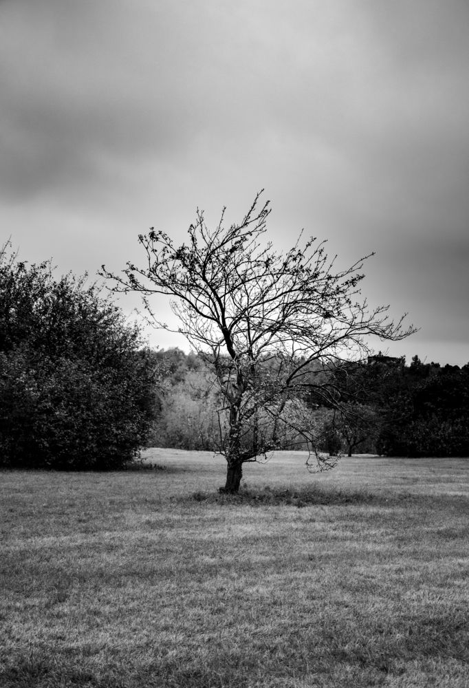 Photograph by Сергей Аникушин