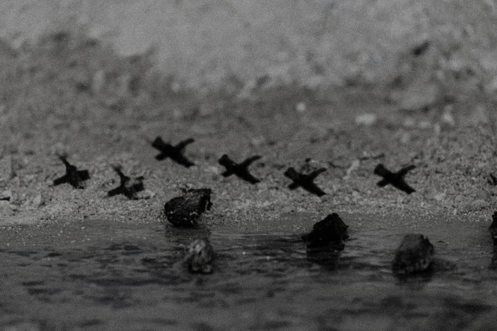 Photograph by Damian Pérez