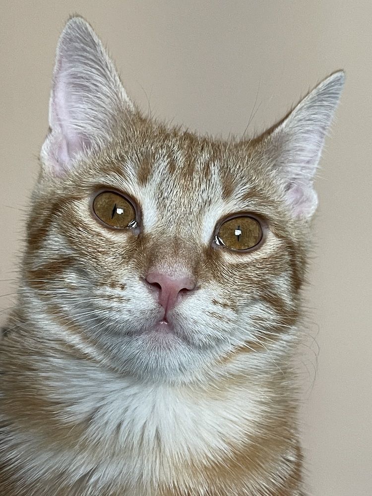 Photograph by Елена