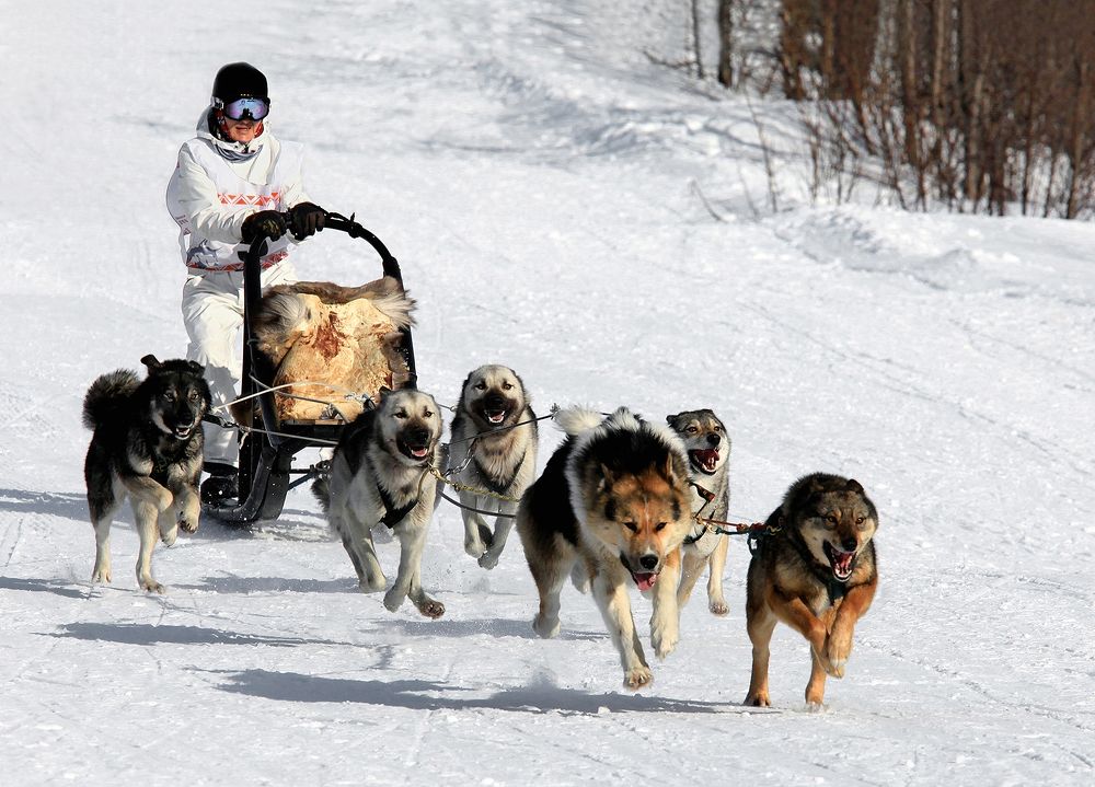 Стартовый рывок