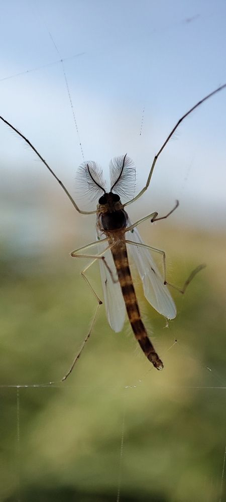 Photograph by Ольга