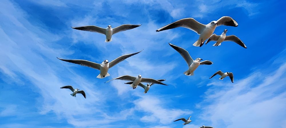 Photograph by Ольга