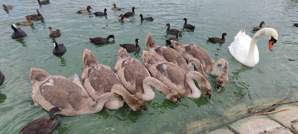 Photograph by Ольга