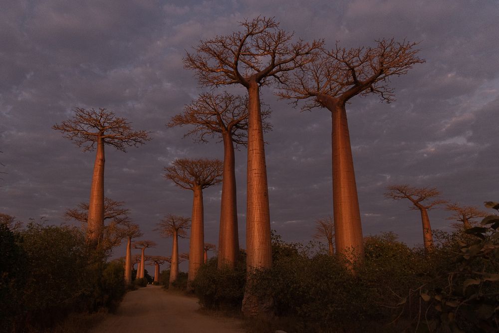 Photograph by Марина Маликова