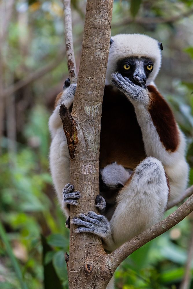 Photograph by Марина Маликова