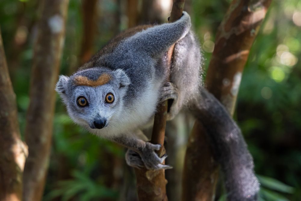 Photograph by Марина Маликова