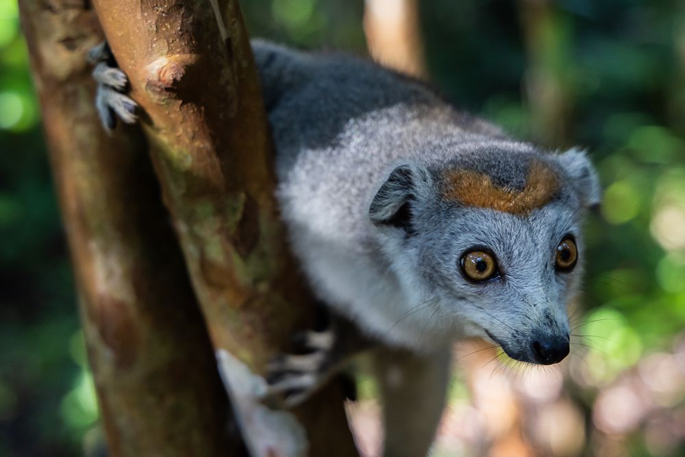 Photograph by Марина Маликова