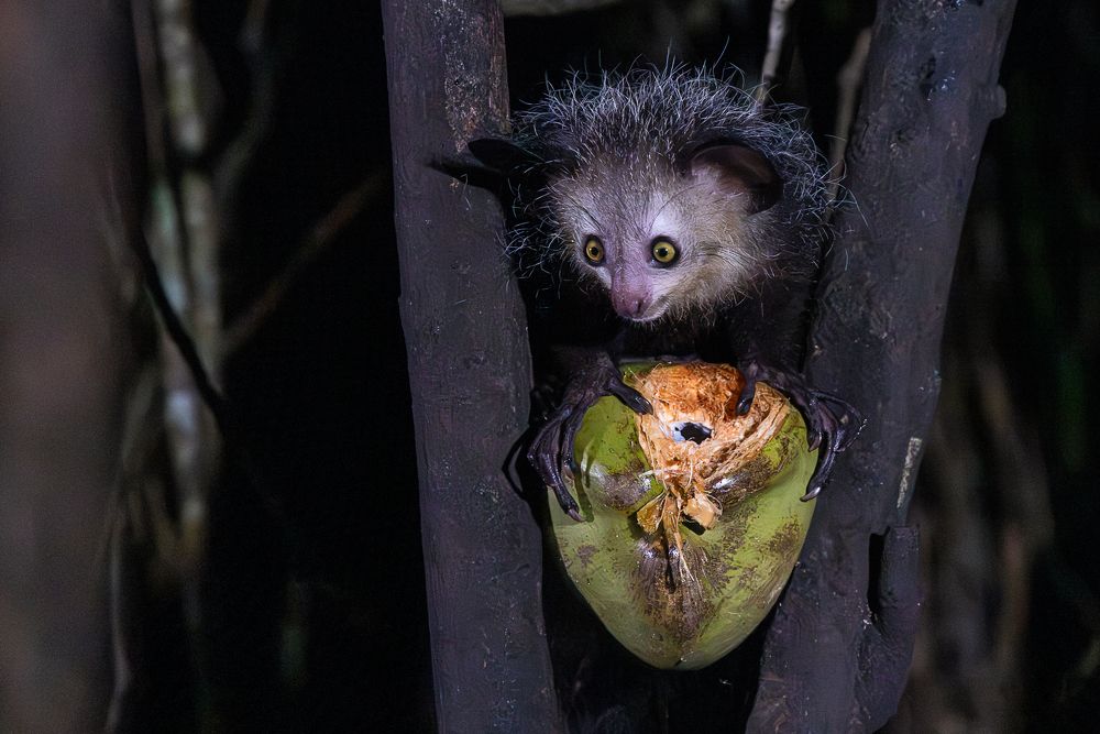 Photograph by Марина Маликова