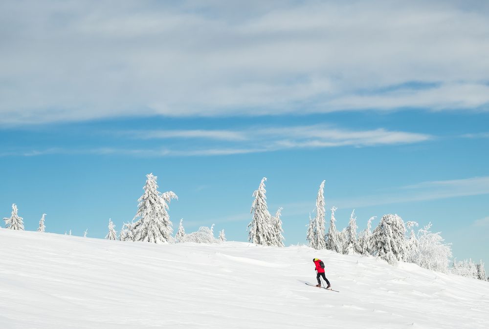 Photograph by Alexandru Pavel