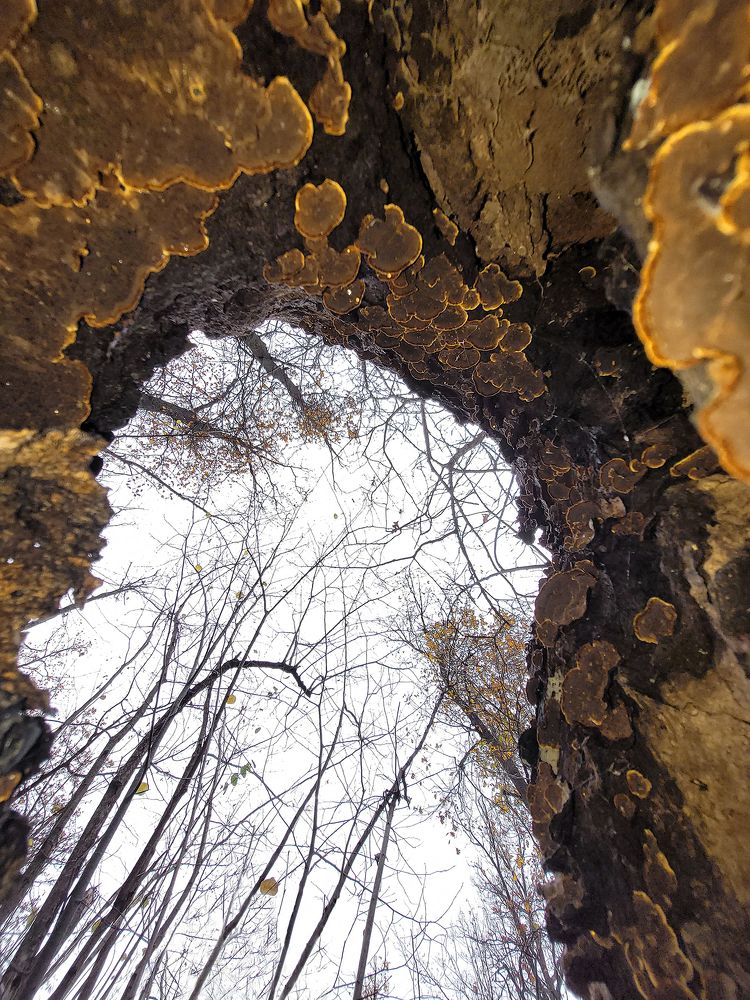 Photograph by Николай Дуткин