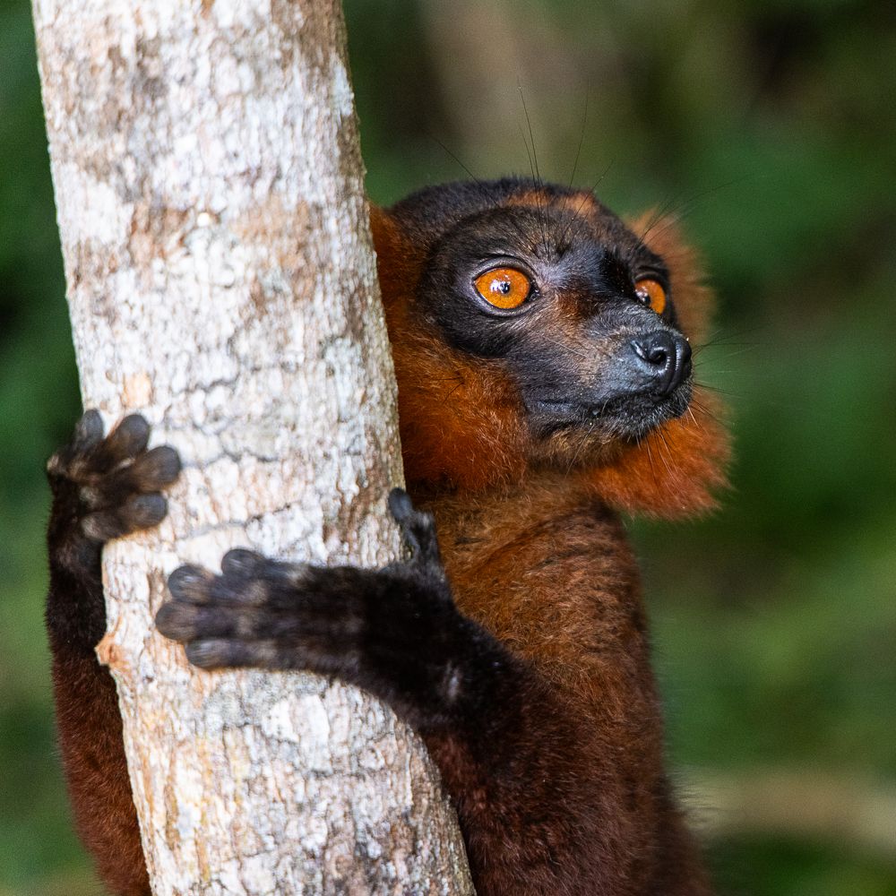 Photograph by Марина Маликова