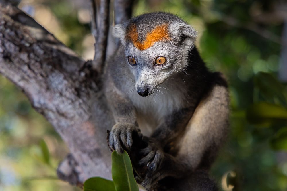 Photograph by Марина Маликова