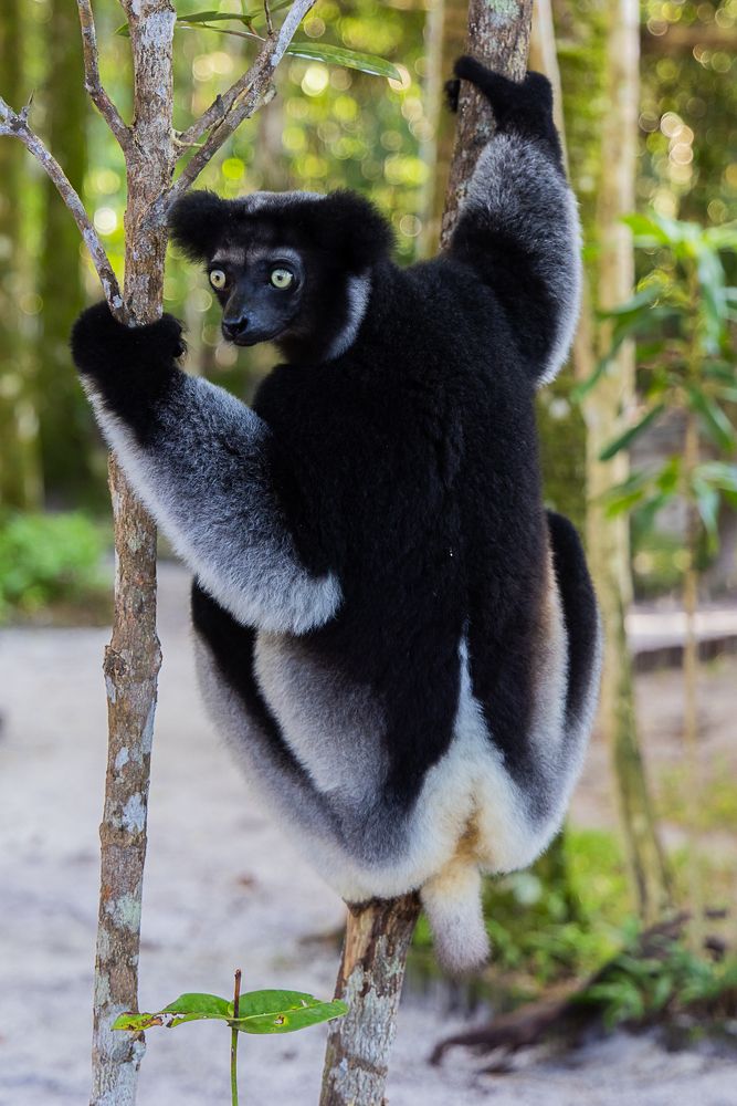 Photograph by Марина Маликова