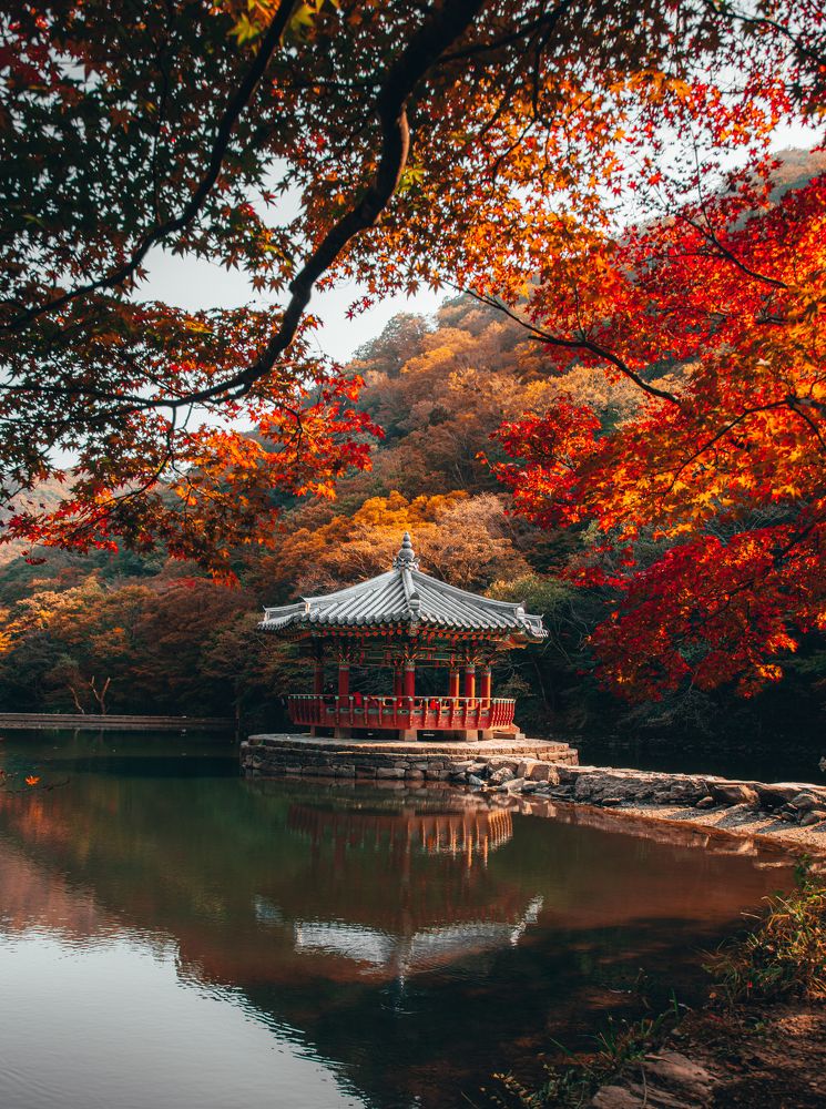 Photograph by Gerard Ngo